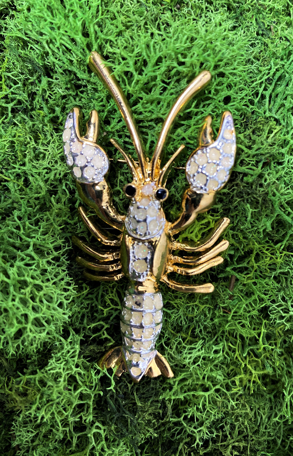 Golden and Cream Color Lobster Broach